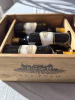 2020 Rey Eneo - Ribera del Duero Reserva - 6 Flessen (0.75, Verzamelen, Nieuw