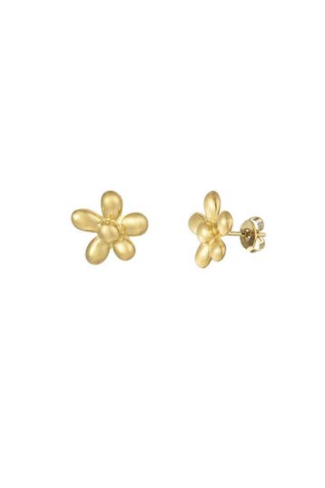 Goudlief Cute daisy flower oorbellen (Dames sieraden), Verzenden, Nieuw, Zilver, Overige materialen