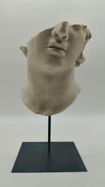 sculptuur, Volto di Alessandro Magno - 37 cm - marmerpoeder
