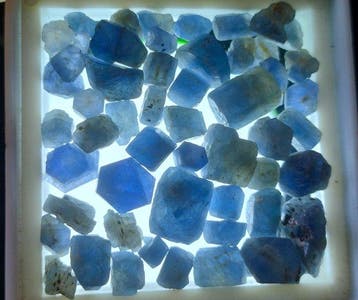 100,4 ct onbehandelde saffier - Ruw- 20.08 g, Verzamelen