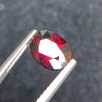Zonder minimumprijs - 1 pcs Rood Spinel - 1.92 ct -, Nieuw