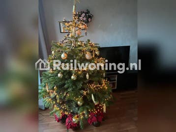 Flat in Doesburg voor woningruil naar Den Haag, Den Haag
