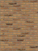 Waalformaat handvorm Talo metselstenen, Verzenden, Nieuw, Bakstenen