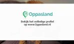 Ik ben Fatme, 37 jaar oud en ik zoek oppaswerk in Weert.