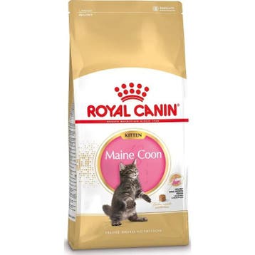 Royal Canin Maine Coon 36 Kitten 10 kg (Kattenvoer), Verzenden, Kat
