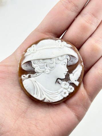CASSIS MADAGASCARIENSIS - Cameo - Handgesneden camee