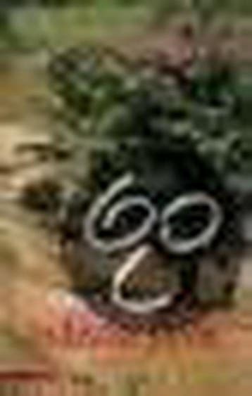 INDISCHE JAREN - A. Zikken 9789045004549, Verzenden, Gelezen, A. Zikken