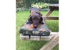 Rockwood® Picknicktafel Kussen Army 57cm, Ophalen of Verzenden, Nieuw, Rechthoekig, Hout