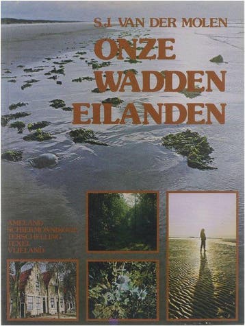 Carlota Fainberg - Van Der Molen SJ, Boeken, Verzenden, Gelezen
