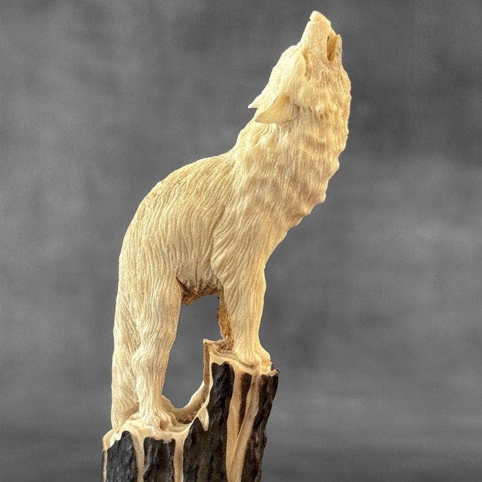 Snijwerk, A howling wolf carving from deer antler on a, Antiek en Kunst, Kunst | Designobjecten