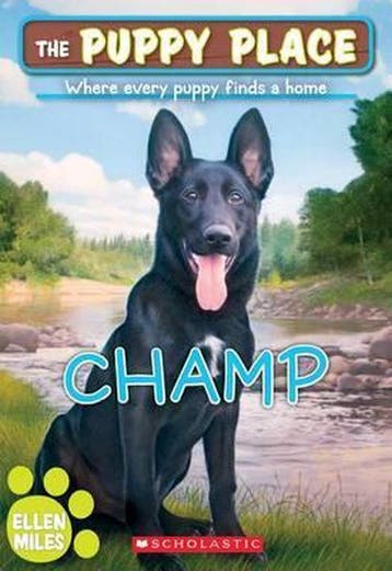 Champ - Wiley Blevins 9780545857277, Verzenden, Gelezen, Wiley Blevins