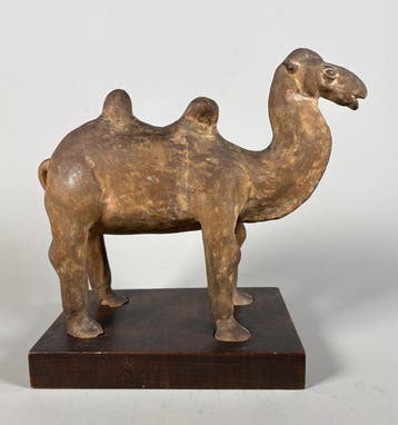 Oud Chinees, Tang-dynastie Terracotta kameel - 33 cm