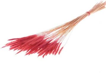 Soft Worms Grass alternatief voor Lagurus Rood, Huis en Inrichting, Ophalen of Verzenden, Nieuw