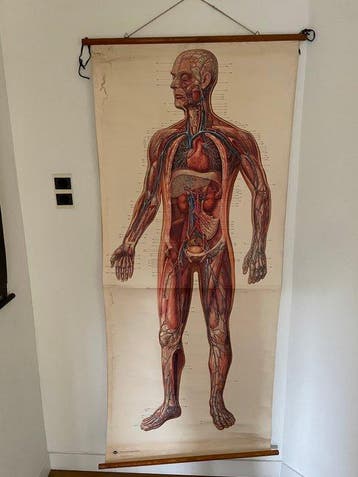 Anonymous - Deutches Hygiene Museum Dresden - Hart en