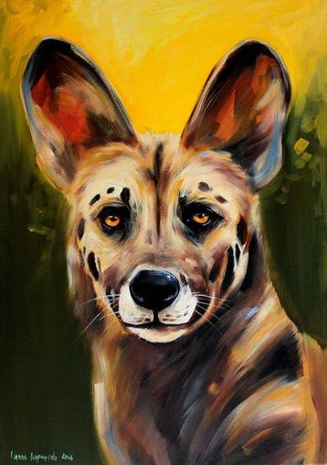 Iwona Kopczyska - African Wild Dog