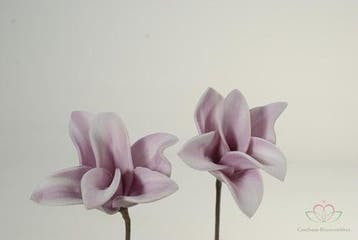 Cymbidium Flower Skin Foambloem 12 stuks, Ophalen of Verzenden, Nieuw