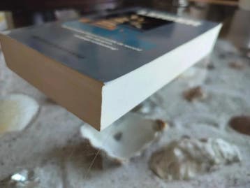 Fritz Leiber - De Zwerver, Boeken, Ophalen, Nieuw