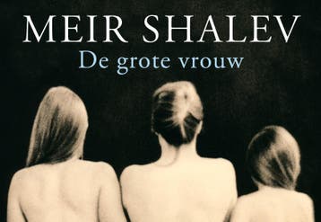 De grote vrouw / Dwarsligger / 64 - Meir Shalev, Boeken, Romans, Verzenden, Gelezen, Meir Shalev