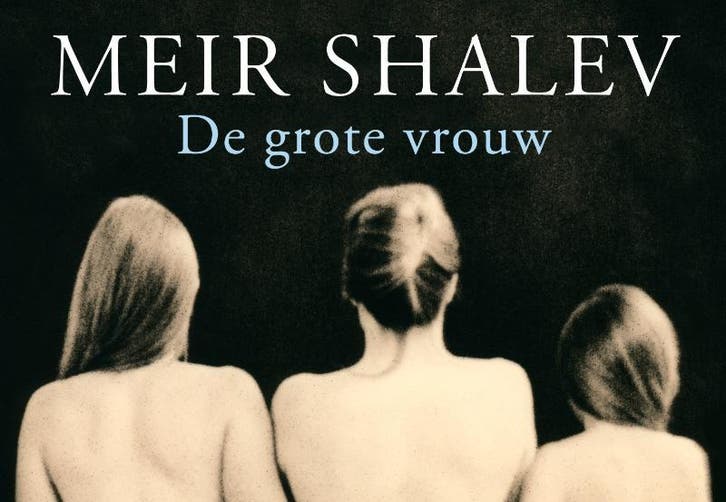 De grote vrouw / Dwarsligger / 64 - Meir Shalev, Boeken, Romans, Gelezen, Verzenden