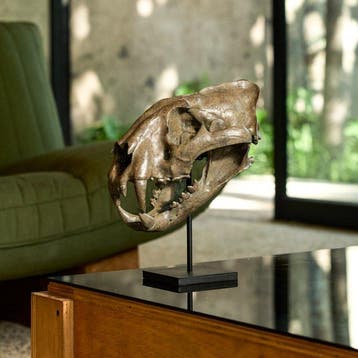 GEEN RESERVEPRIJS - Replica van tijgerschedel op een op maat
