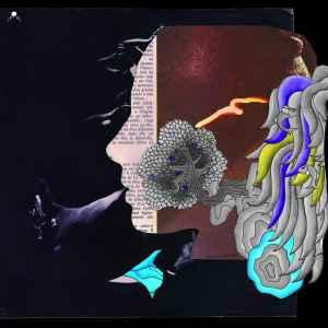 cd - Dirty Sound System - Dirty French Psychedelics, Verzenden, Zo goed als nieuw