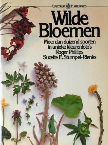 Wilde bloemen - Phillips 9789027492074, Verzenden, Gelezen, Phillips
