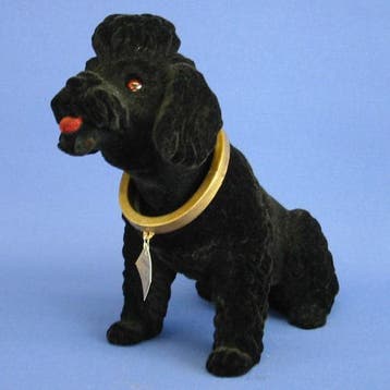 Zwarte poedel hoedenplank hond, Verzenden, Nieuw