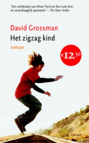 Het Zigzagkind | David Grossman & Shulamith Bamberger, Ophalen of Verzenden, Zo goed als nieuw, David Grossman & Shulamith Bamberger