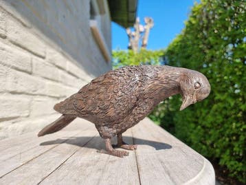 Beeldje - Levensechte duif - Brons