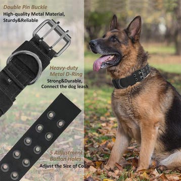 Tactische Hondenhalsband - Duurzaam Nylon Militaire Stijl vo, Verzenden, Nieuw