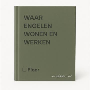 WAAR ENGELEN WONEN EN WERKEN - L. Floor 9789058297174, Verzenden, Gelezen, L. Floor