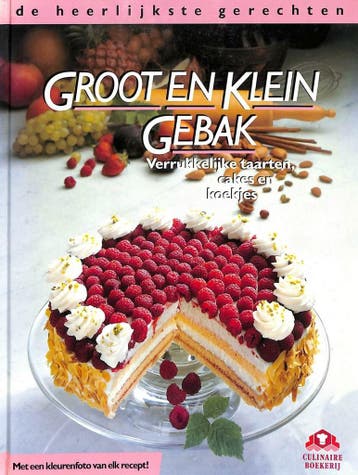 Groot en klein gebak - Wolter 9789021014128, Verzenden, Gelezen, Wolter