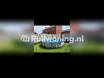 Onze woning in Ten Boer ruilen voor jouw plekje.