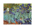 Kunstdruk Vincent Van Gogh - Iris 30x24cm, Huis en Inrichting, Verzenden, Nieuw