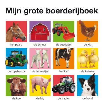 Mijn grote boerderijboek - Roger Priddy 9789000305179, Verzenden, Gelezen, Roger Priddy