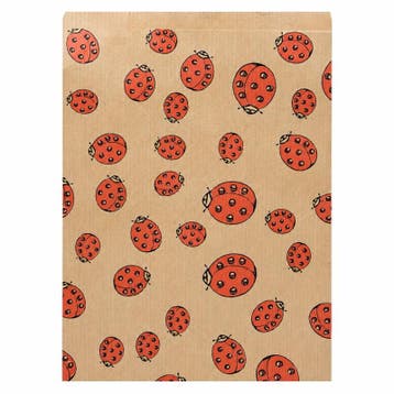 10 x Kraft cadeauzakjes met lieveheersbeestje 13,5 × 18 c.., Ophalen of Verzenden, Nieuw