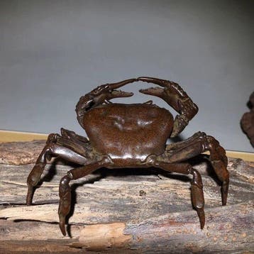 Crab ornament - sculptuur Brons - Japan (Zonder