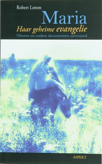 Maria / Aspekt monografie - Robert Lemm 9789059113954, Verzenden, Zo goed als nieuw, Robert Lemm