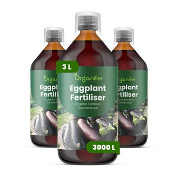Aubergine Vloeibare Meststof - 3x1 liter, Verzenden, Mest