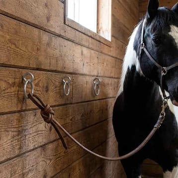 vidaXL Paardenbindringen met oogschroeven 3 st staal, Dieren en Toebehoren, Paarden en Pony's | Overige Paardenspullen, Verzenden