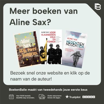 De jongen op het dak - Aline Sax 9789462914520, Verzenden, Zo goed als nieuw, Aline Sax