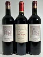 2016 x2 Pagodes de Cos, 2nd wine of Château Cos dEstournel, Nieuw