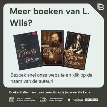 Vlaanderen, Belgie, Groot-Nederland - L. Wils 9789061528654, Boeken, Verzenden, Gelezen, L. Wils