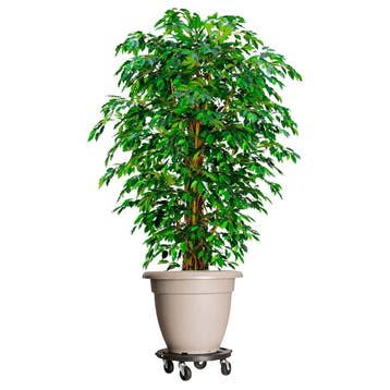 vidaXL Plantentrolley met wielen 275 kg diameter 40 cm zwart, Verzenden, Nieuw