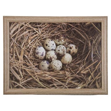 schootkussen eieren in nest 43cm, Verzenden, Nieuw