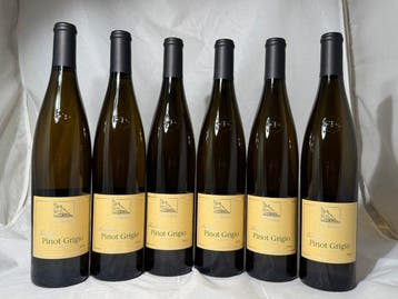 2018 Terlano Pinot Grigio - Trentino Alto Adige - 6 Flessen, Verzamelen, Nieuw