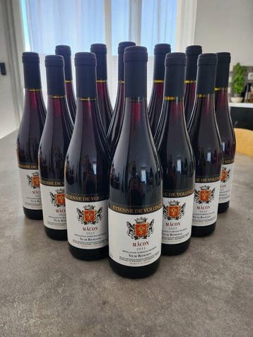 2023 Etienne de Volonzac, Mâcon - Bourgogne, Mâconnais - 12, Nieuw