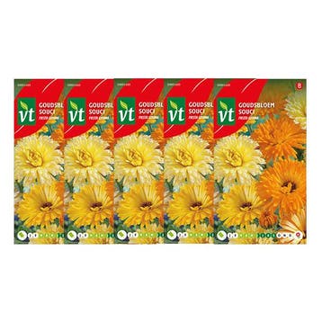 Bloemzaden goudsbloem | VT | 5 stuks, Verzenden