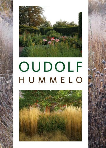 Oudolf Hummelo - Noel Kingsbury 9789059565821, Verzenden, Zo goed als nieuw, Noel Kingsbury