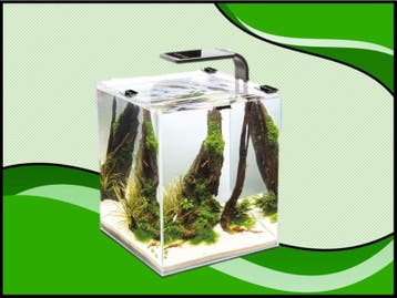 Aquael nano cube set smart II DAY&NIGHT - 30 liter zwart aqu, Verzenden, Nieuw